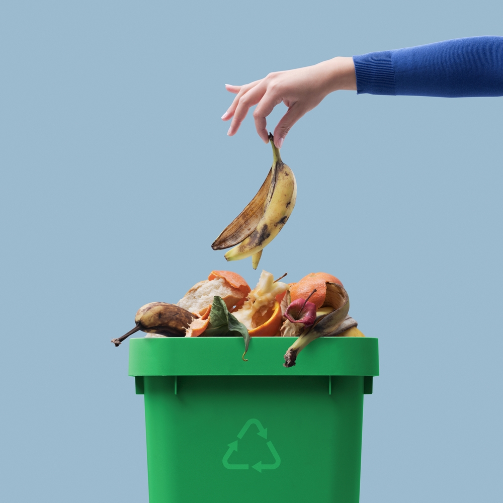 Organic Recycling 101 What Is Biodegradable Waste & How to Properly